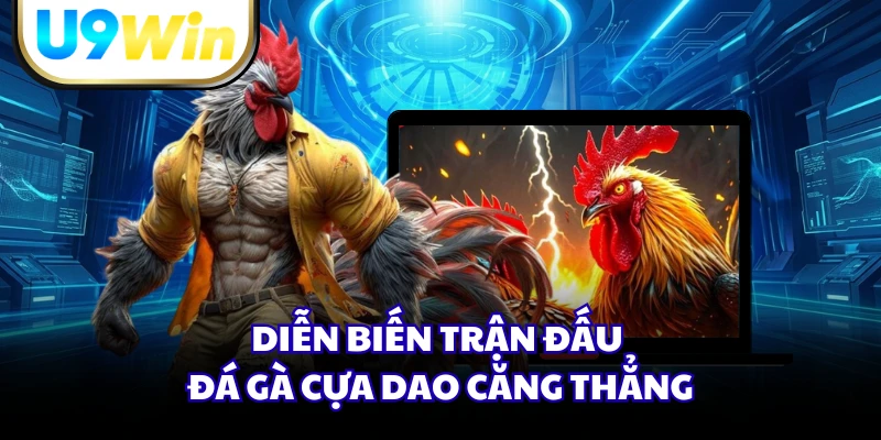 Diễn biến trận đấu đá gà cựa dao căng thẳng