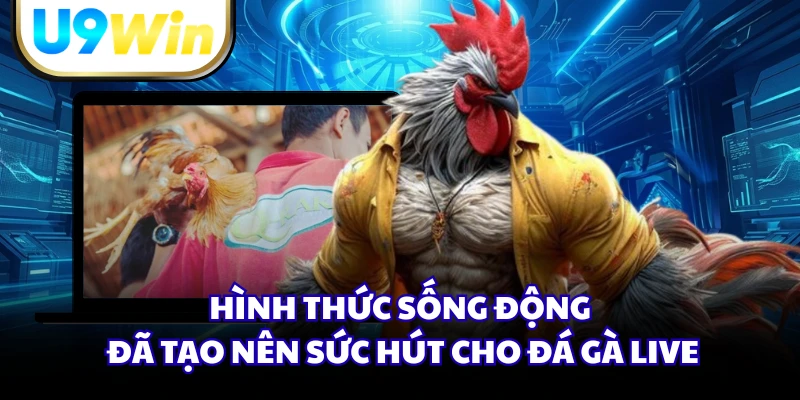 Hình thức sống động đã tạo nên sức hút cho đá gà live